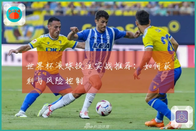 世界杯滚球投注实战推荐：如何获利与风险控制