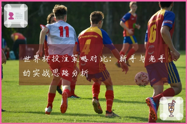 世界杯投注策略对比：新手与老手的实战思路分析