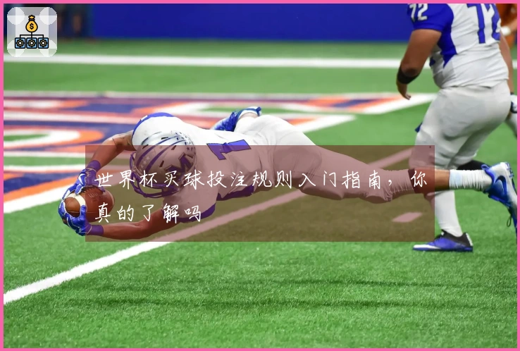 世界杯买球投注规则入门指南，你真的了解吗