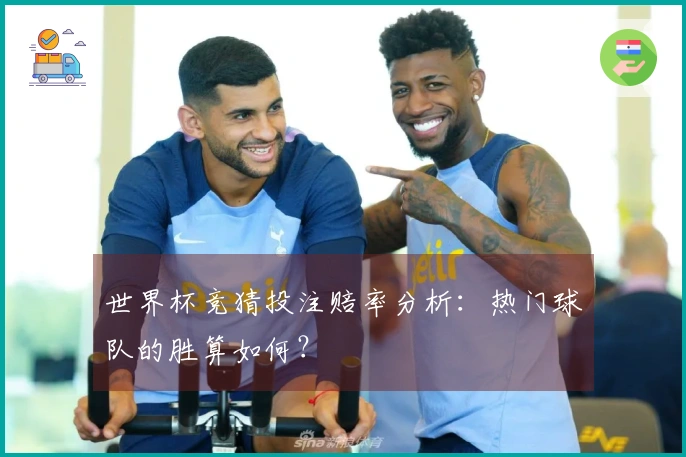 世界杯竞猜投注赔率分析：热门球队的胜算如何？