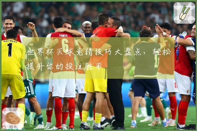 世界杯买球竞猜技巧大盘点，轻松提升你的投注胜率