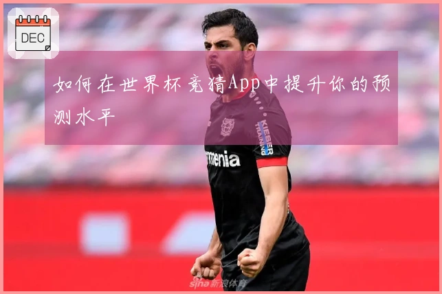 如何在世界杯竞猜App中提升你的预测水平