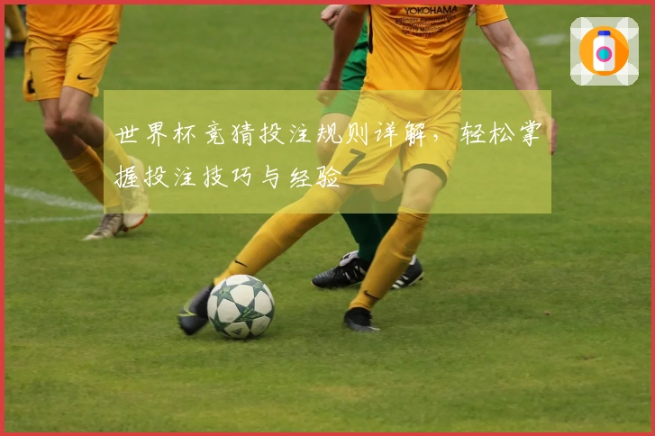 世界杯竞猜投注规则详解，轻松掌握投注技巧与经验