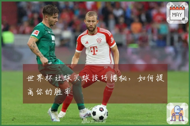 世界杯让球买球技巧揭秘，如何提高你的胜率