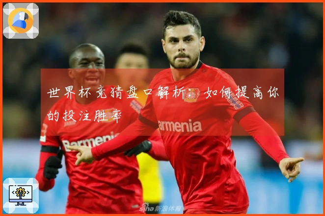世界杯竞猜盘口解析：如何提高你的投注胜率