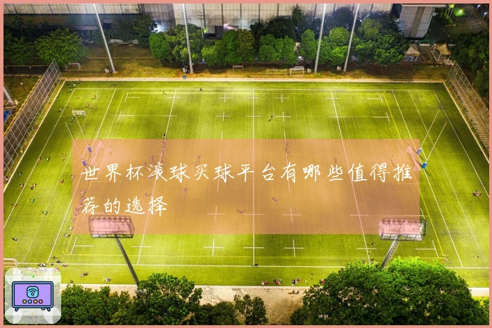 世界杯滚球买球平台有哪些值得推荐的选择