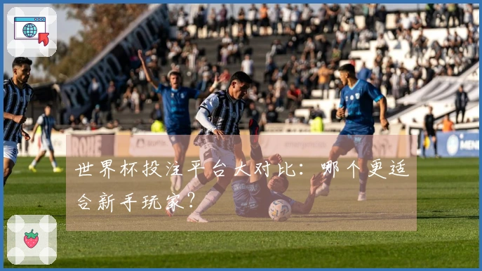 世界杯投注平台大对比：哪个更适合新手玩家？