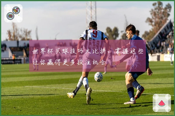 世界杯买球技巧大比拼，掌握这些让你赢得更多投注机会