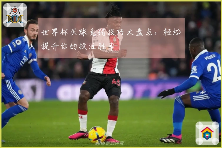 世界杯买球竞猜技巧大盘点，轻松提升你的投注胜率