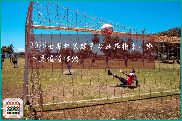 2026世界杯买球平台选择指南，哪个更值得信赖