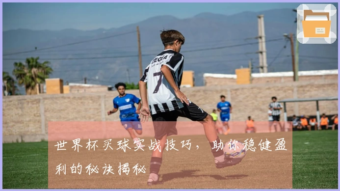 世界杯买球实战技巧，助你稳健盈利的秘诀揭秘