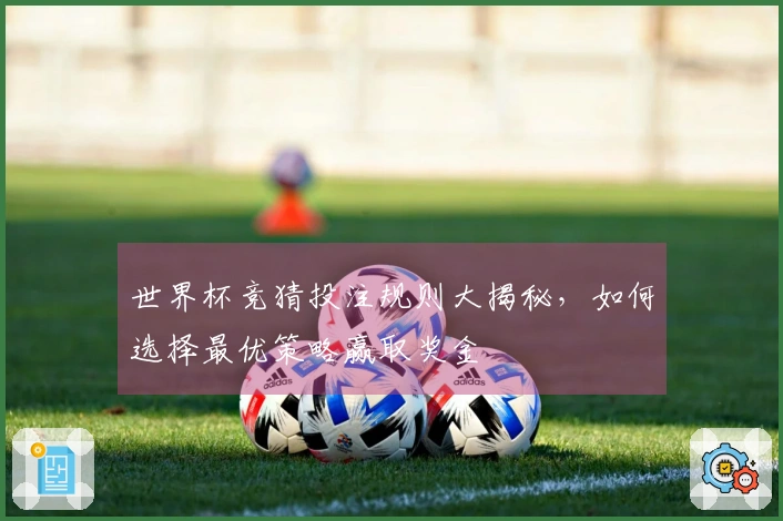 世界杯竞猜投注规则大揭秘，如何选择最优策略赢取奖金