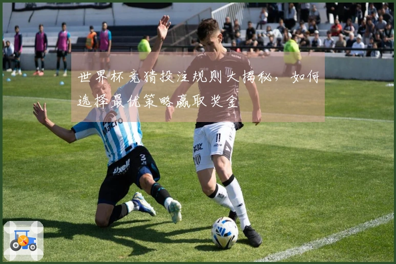 世界杯竞猜投注规则大揭秘，如何选择最优策略赢取奖金