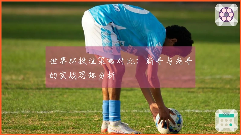 世界杯投注策略对比：新手与老手的实战思路分析