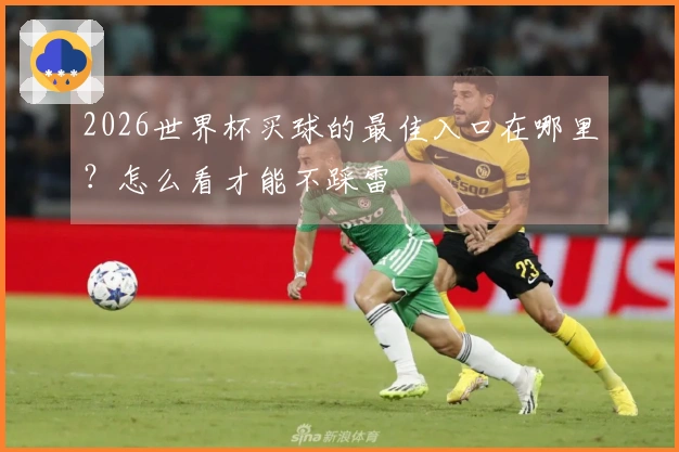 2026世界杯买球的最佳入口在哪里？怎么看才能不踩雷