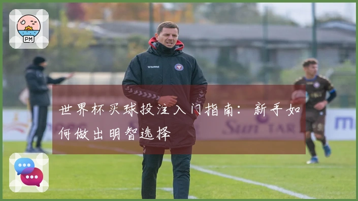 世界杯买球投注入门指南：新手如何做出明智选择