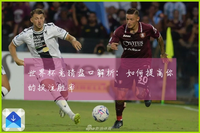 世界杯竞猜盘口解析：如何提高你的投注胜率